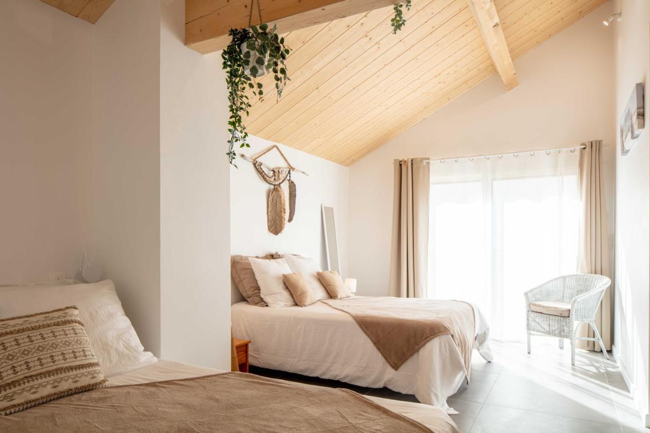 Ted Surf House Bed and Breakfast Capbreton Εξωτερικό φωτογραφία